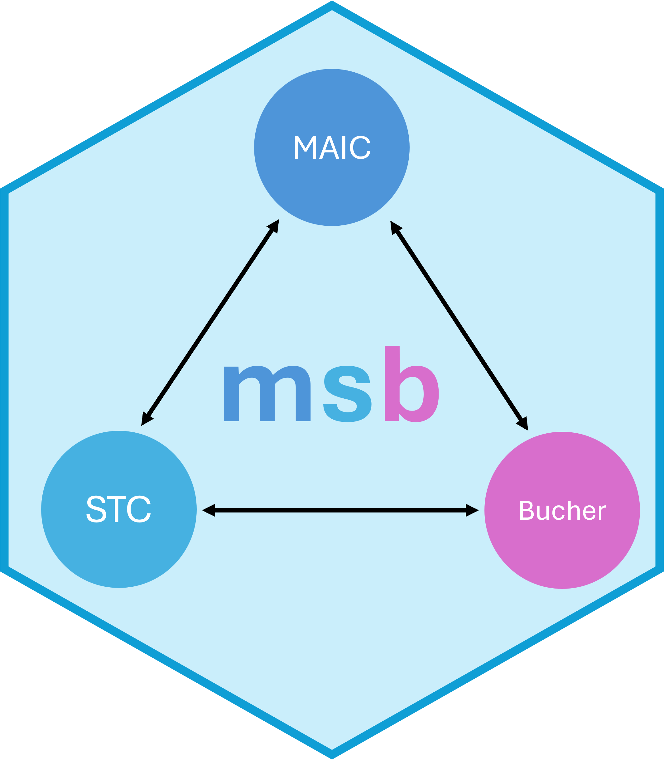 msb Logo